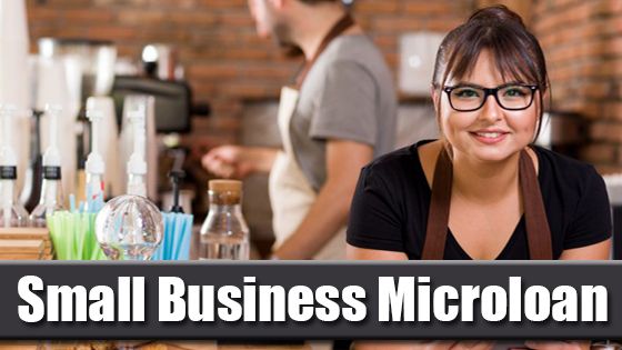 What is a Small Business Microloan?